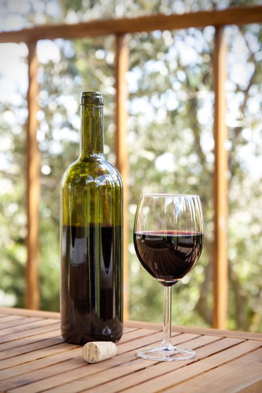 Agriturismo Podere Camollia Costalpino Εξωτερικό φωτογραφία